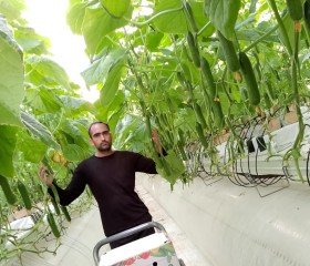 Bakhadur, 34, Moscow