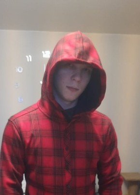 Лис
