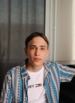 Руслан, 20 лет, Ульяновск