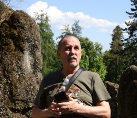 Vladimir, 70, Borken (Hesse)