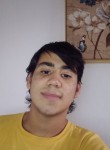 JAVIER, 21 год, Copiapó