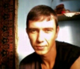 Сергей, 42 года, Киселевск