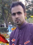 Ali baloch, 28 лет, سکھر