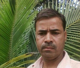 Hariom singh, 40 лет, Lucknow
