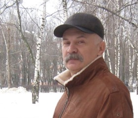 Игорь, 68 лет, Воронеж