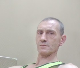 Владимир, 49 лет, Няндома