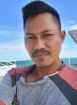 gajol, 45 лет, Djakarta