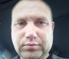 Андрей, 44 года, Гатчина