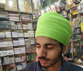 parmpal Singh, 24 года, Ludhiana