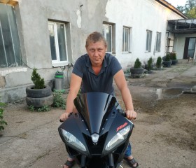 Иван, 38 лет, Магілёў