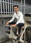 Ronado, 28 лет, Thành Phố Ninh Bình