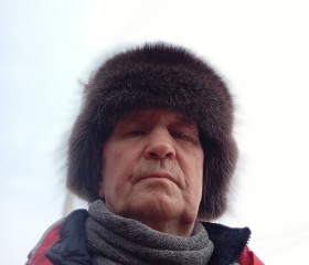 Александр, 73 года, Ижевск