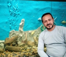 محمد السيد, 46, Alexandria