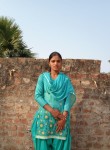 Rohan, 25 лет, Gorakhpur (Haryana)