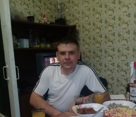 Сергей, 41 год, Белогорск (Амурская обл.)
