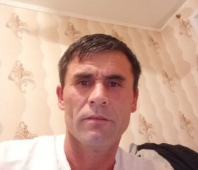 Бахтиер, 47 лет, Ликино-Дулево