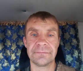 Николай, 43 года, Анжеро-Судженск