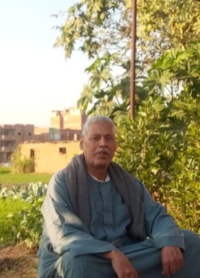 محمد فهمي, 72, جمهورية مصر العربية, شبين الكوم