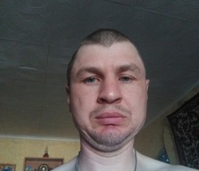 Алексей, 38 лет, Козельск