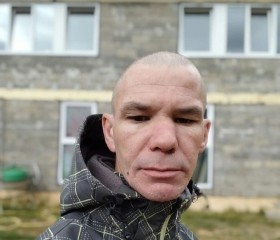 Серёга, 40 лет, Звенигород