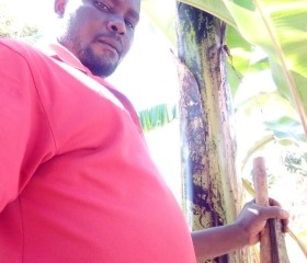 Frank, 41 год, Kampala