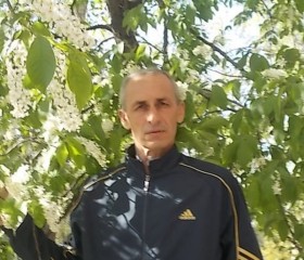 Виталий, 59 лет, Москва
