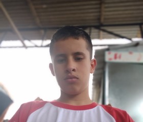 Danilo, 20 лет, Ponta Grossa