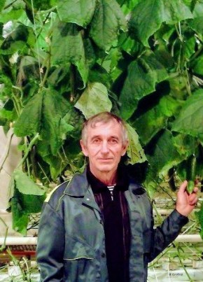 Виктор, 67, Россия, Крыловская
