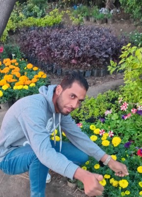 محمد جمال رمضان из الإسكندرية 29 лет