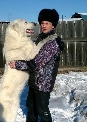 Александр, 43, Россия, Слюдянка