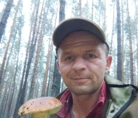 Василий, 43 года, Ярославль