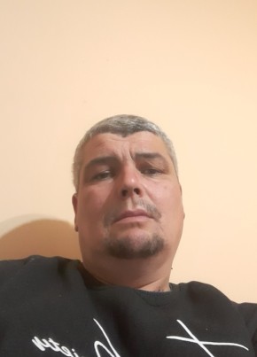 Mihai, 45, Romania, Gurghiul