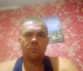 Олег, 40 лет, Slobozia