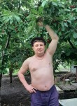Владимир, 56 лет, Шебекино