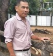 Thuật