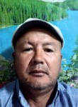 Куан, 50 лет, Талдықорған