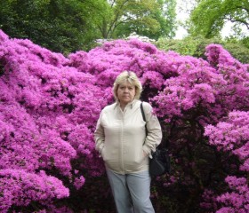 elena, 61 год, Hannover