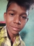 Pavan pali, 22 года, Indore