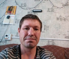 Николай, 41 год, Бородино