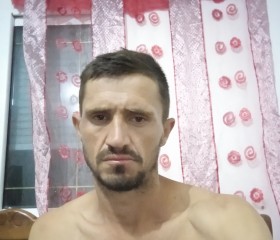 Damjan, 35 лет, Tirana