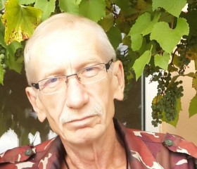 Олег , 70 лет, Волгоград