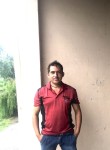 rahul, 34 года, Mohali