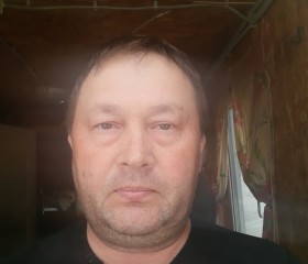 Игорь, 49 лет, Гайны