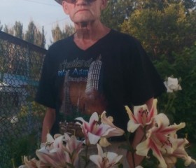 виктор, 73 года, Алматы
