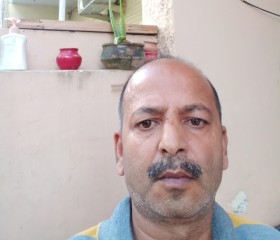 Rajeev Singh, 49 лет, Jalandhar