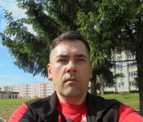 Дмитрий Швецов, 43 года, Горад Чавусы