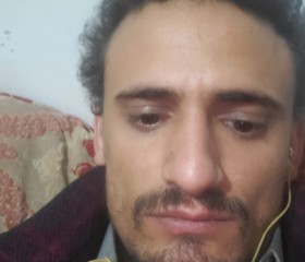 Arabian stallion, 23, Sanaa