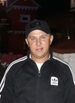 Сергей, 44 года, Алапаевск
