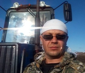 Николай, 43 года, Губкин
