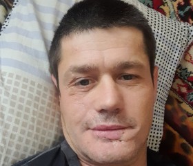 Дима, 40 лет, Спасск-Дальний